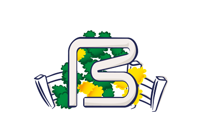 Motorisation portail électrique